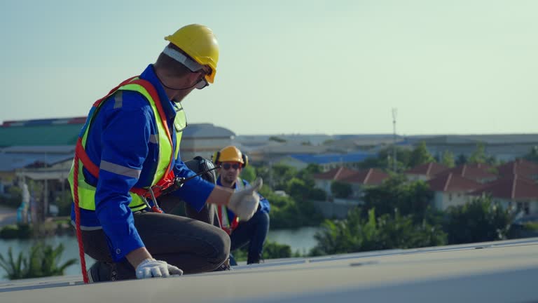 Best Roof Repair  in Denmark, WI