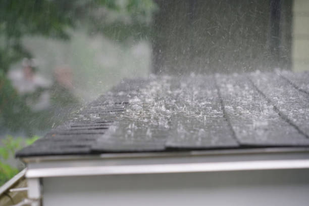 Best Roof Waterproofing  in Denmark, WI