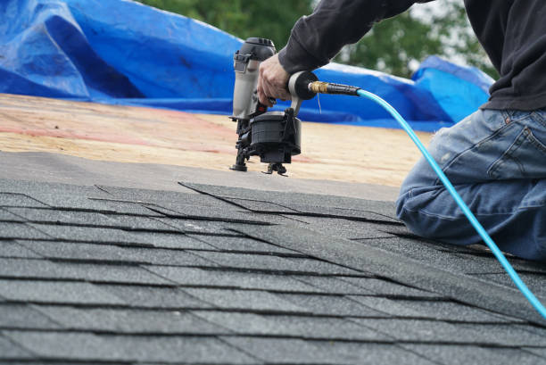 Best Chimney Flashing Repair  in Denmark, WI
