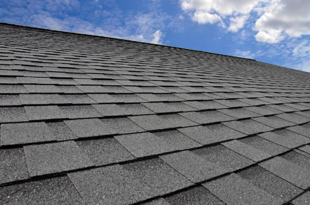 Best Roof Maintenance and Cleaning  in Denmark, WI