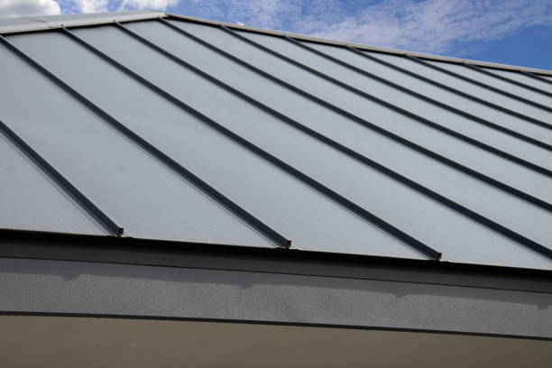 Best EPDM Roofing  in Denmark, WI