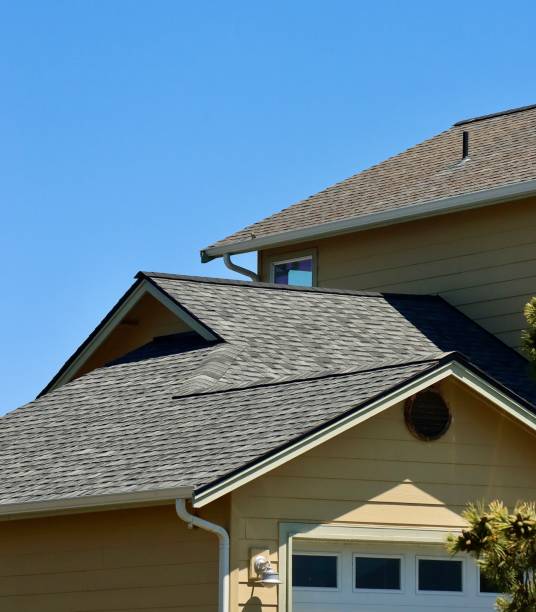 Best Roof Insulation Installation  in Denmark, WI
